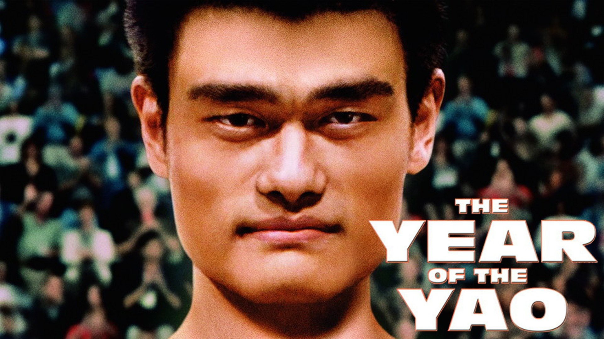 The Year of the Yao