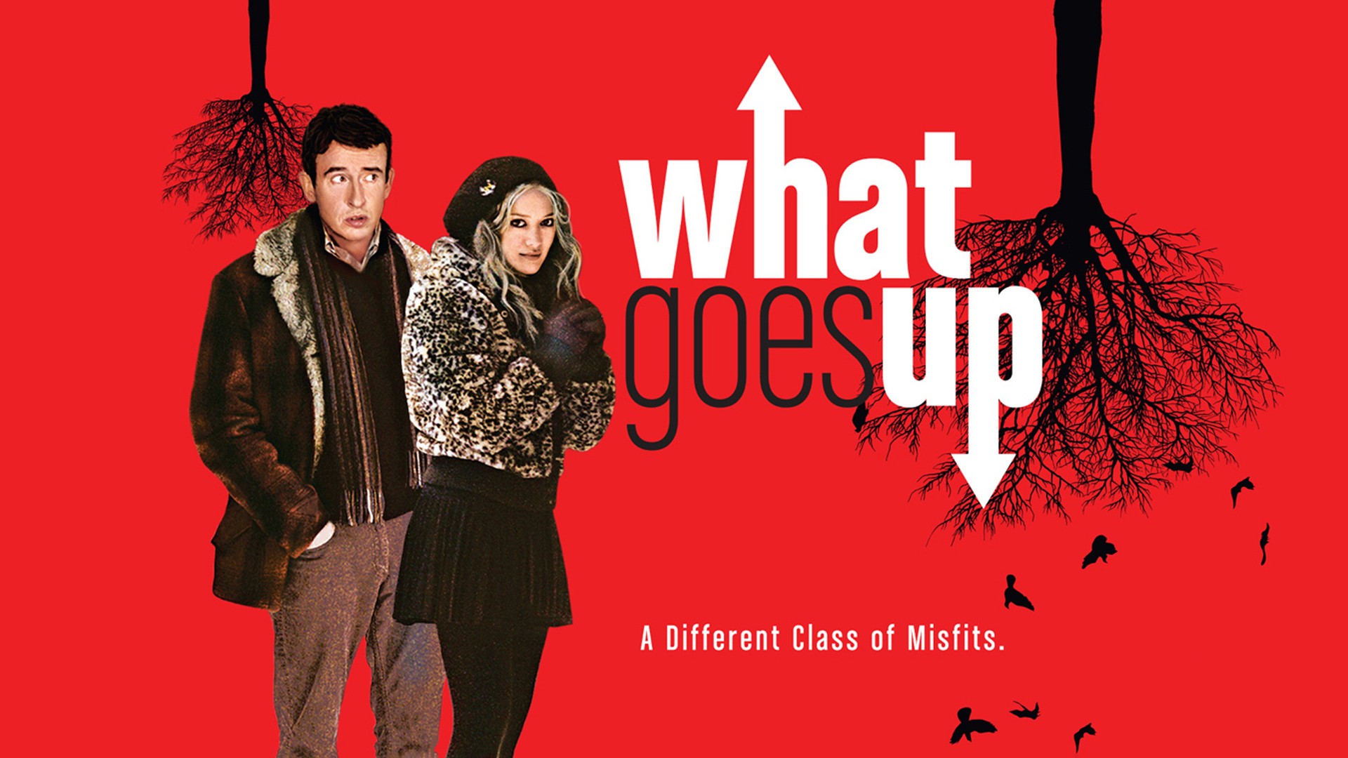 What Goes Up