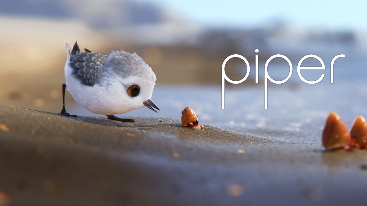 Piper