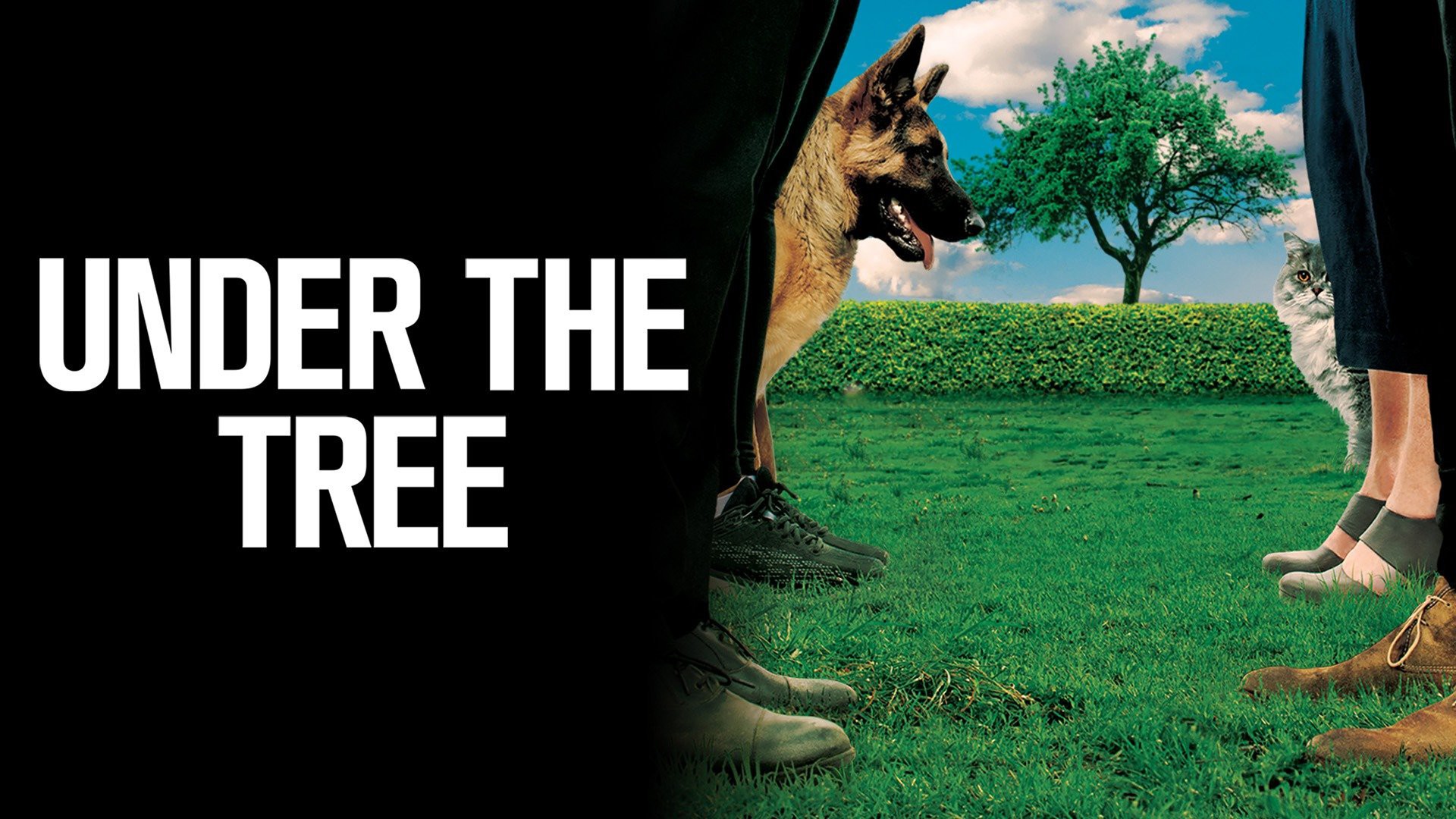 Under the Tree