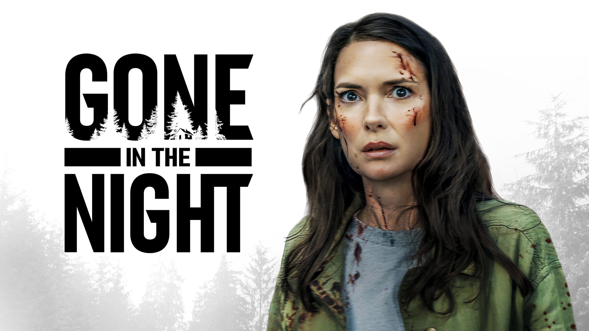Gone in the Night