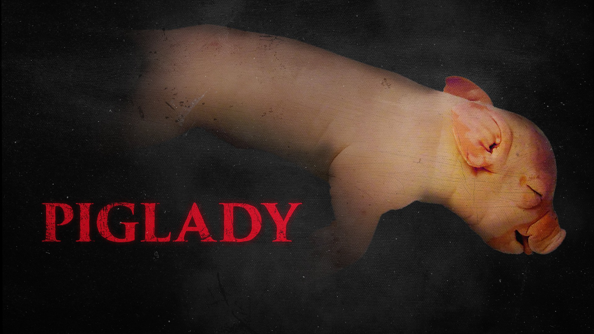 Piglady